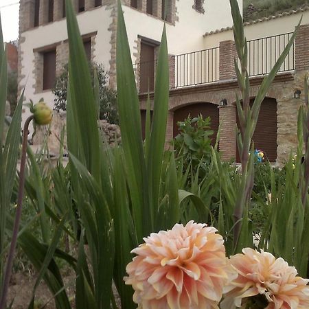 Casa Rural Caseta De L' Hort Villafranca del Cid Dış mekan fotoğraf