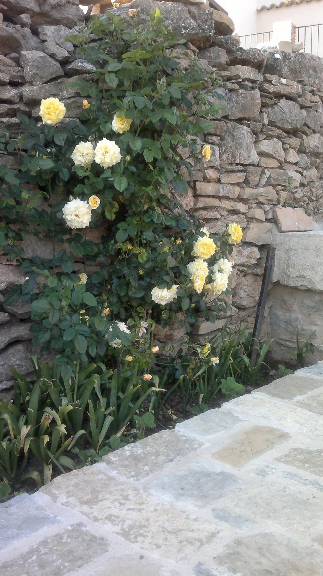 Casa Rural Caseta De L' Hort Villafranca del Cid Dış mekan fotoğraf