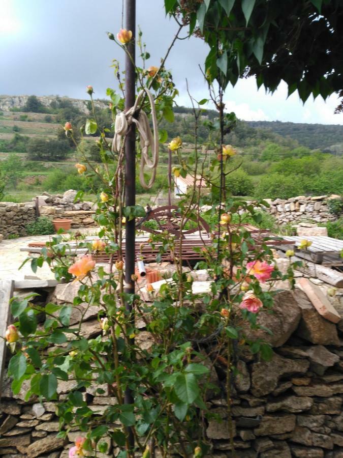 Casa Rural Caseta De L' Hort Villafranca del Cid Dış mekan fotoğraf