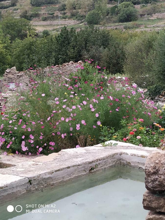 Casa Rural Caseta De L' Hort Villafranca del Cid Dış mekan fotoğraf